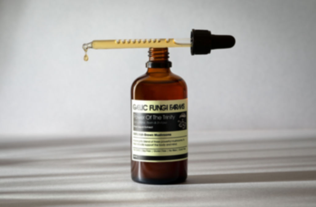 Power Of The Trinity - Medicinal Mushroom Blend Dual Extract