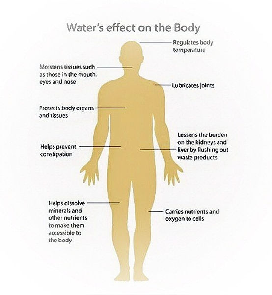 Water Graph_edited_edited.jpg