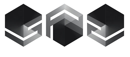 SP2 Carbon_Brand_Variations1.jpeg