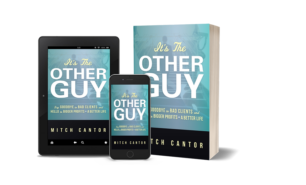 ItsTheOtherGuy_MitchCantor.png