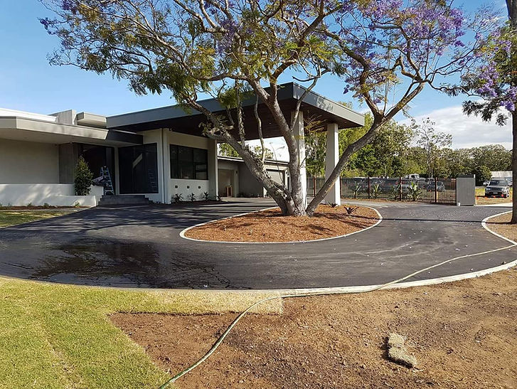 New asphalt driveway curves around a large blooming Jacaranda tree leading to a modern, light-colored residence.