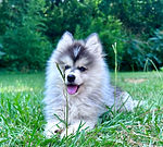 IMG_0603.jpeg