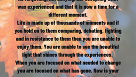 Enjoy the Here and Now!