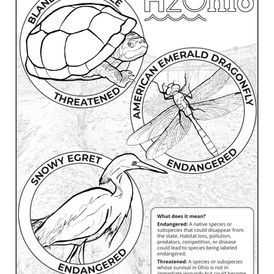 H2OhioColoringSheet.jpg