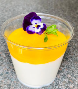 Dessert- coconut panna cotta with mango 