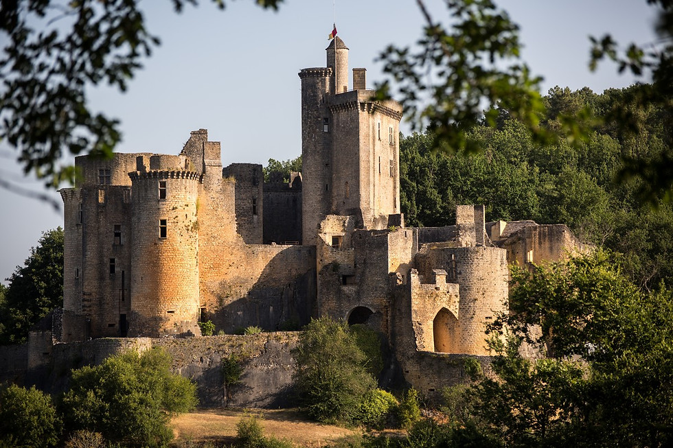 Photo du château de Bonaguil