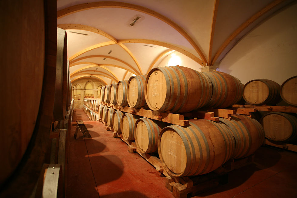 Photo d'une cave de vignoble
