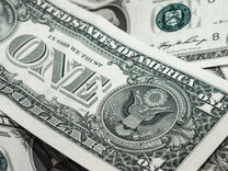 Investor Interest in ESG Investments