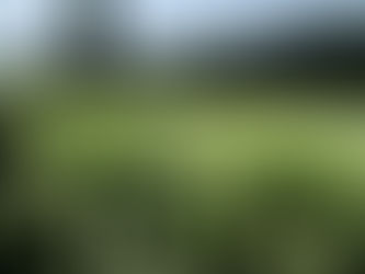 紫陽花ドライブ🚙💜