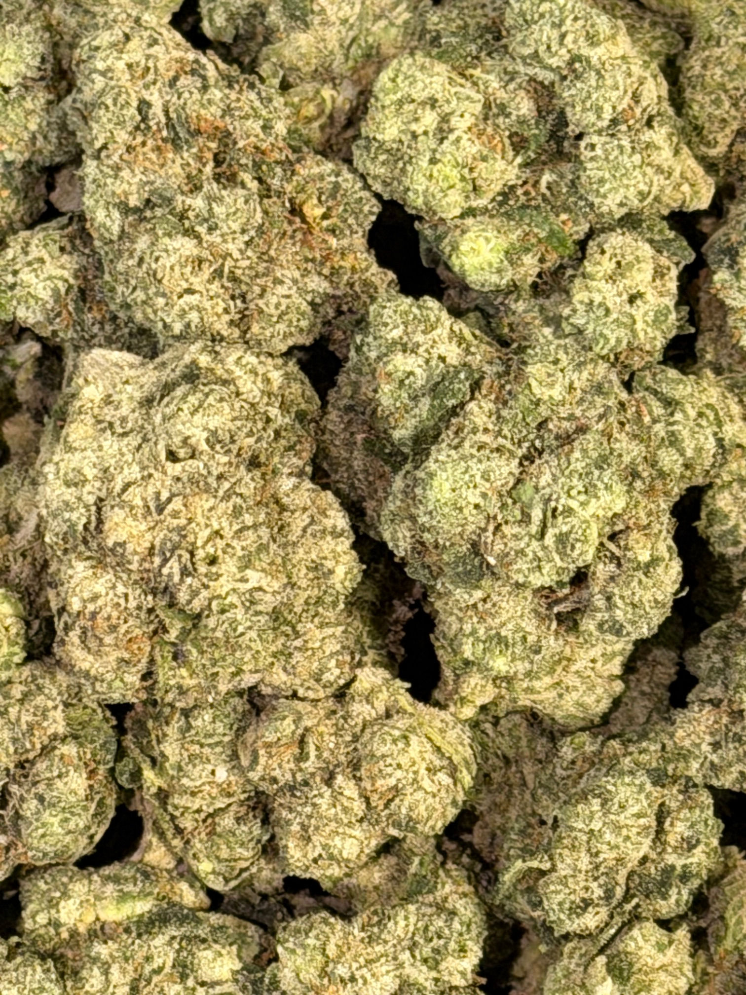 Captain Crunch