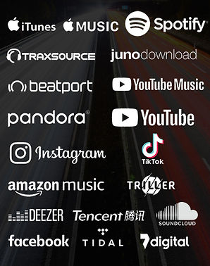 Services - Music Distribution 500px tall v3.jpg