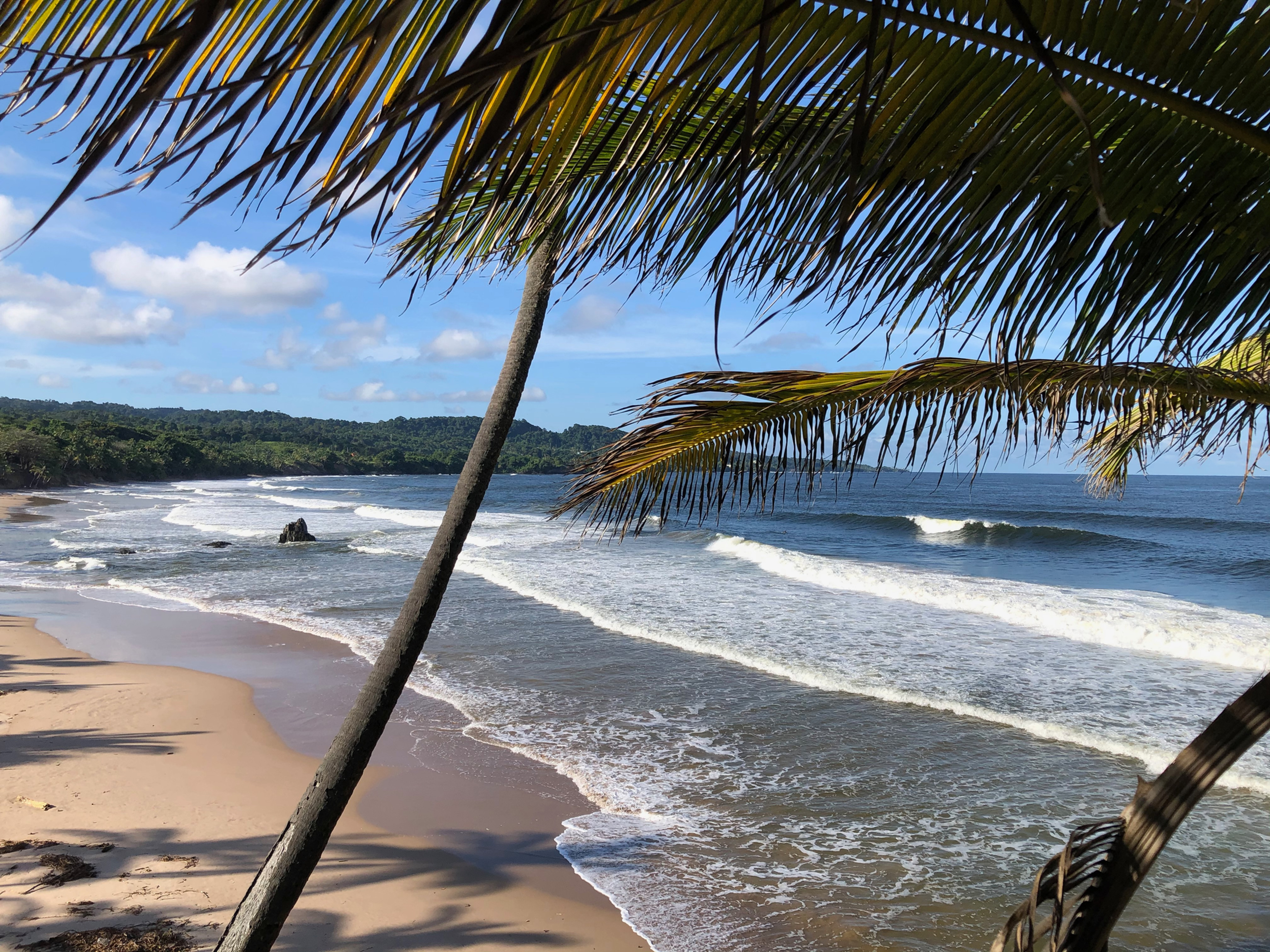 Trinidad Tobago