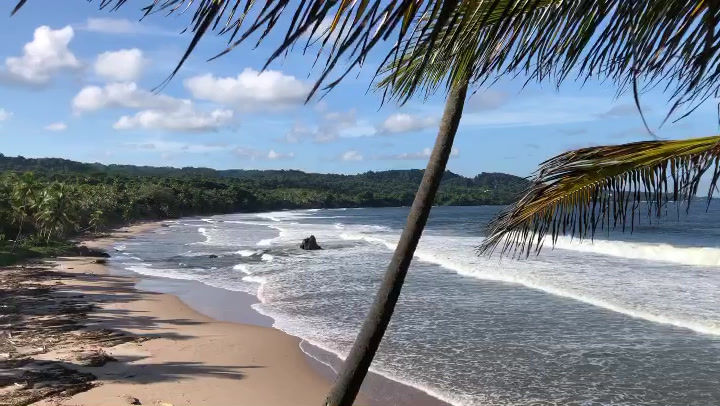 Miniaturbild: Trinidad & Tobago verstecktes Surfparadies in der Karibik