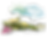 fondo.png