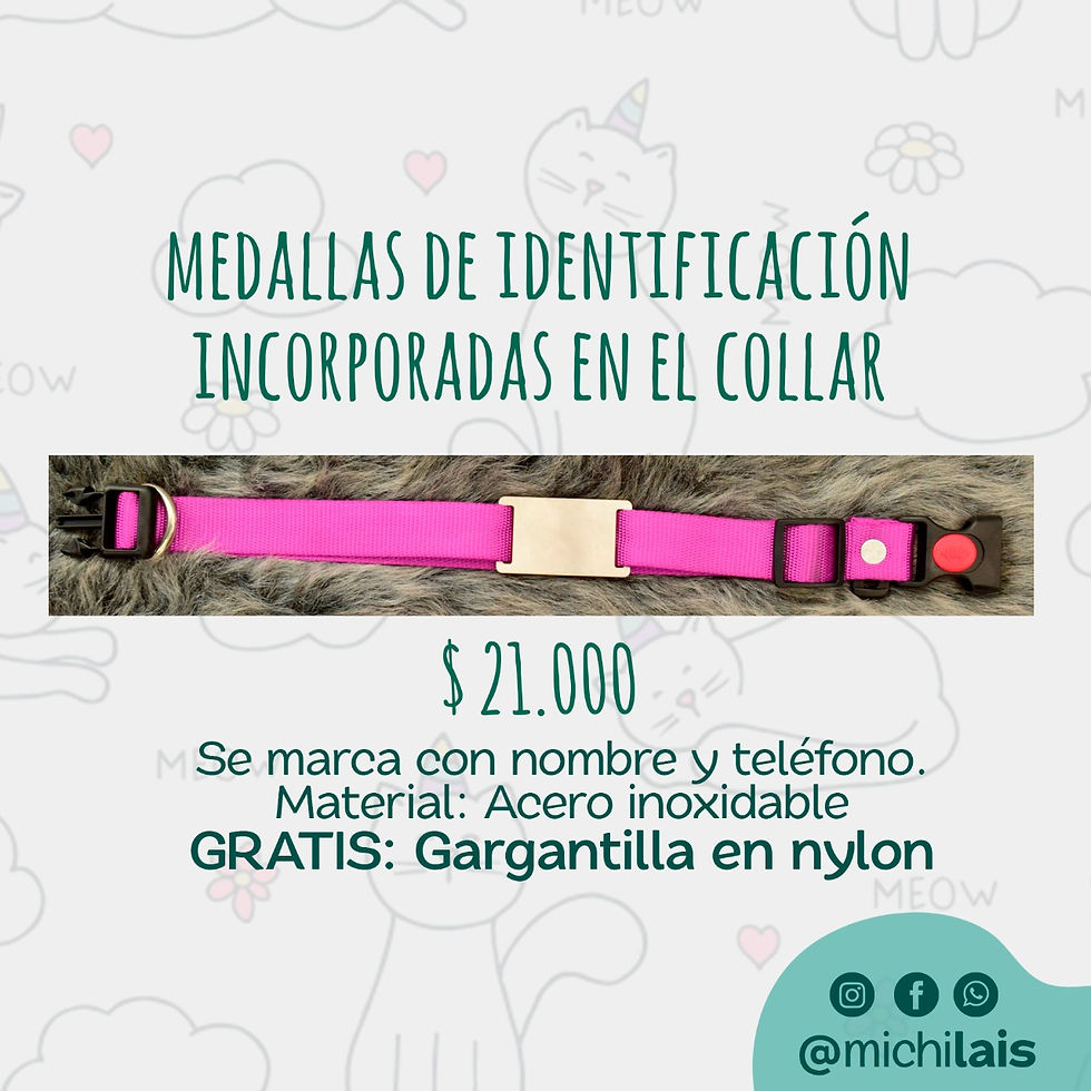 Miniatura: Medalla Identificación