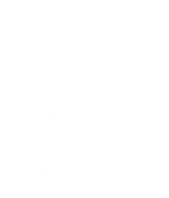 Rose(partialtransparency)-01.png