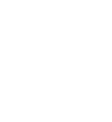 Rose(partialtransparency)-01.png