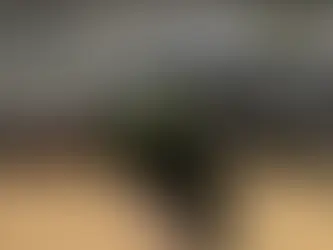 Black T-Pole 5-Line Washing Line