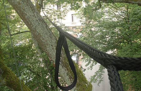 arbre et concept haubannage.JPG