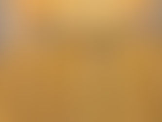 唐墨の仕込みが始まりました