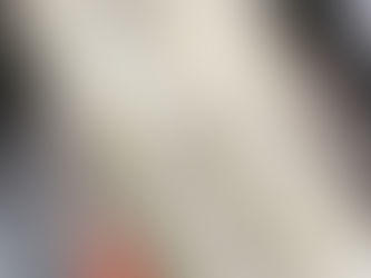 鱧