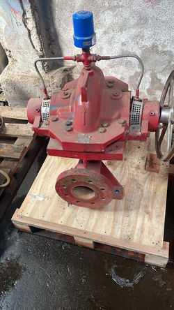 WhatsApp Image 2026-03-19 at 15.43.48