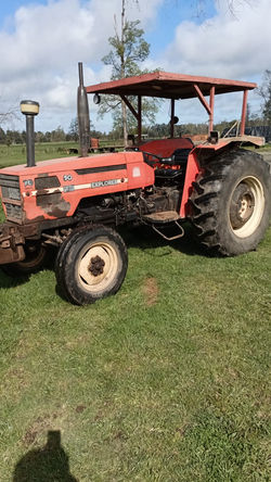 Imagen de WhatsApp 2024-09-30 a las 08.53.26_2d8ba036