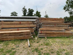 WhatsApp Image 2025-01-03 at 16.18.07 (1)