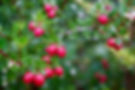 DSC00830.jpeg