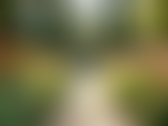 Enhance Your Yard with Professional Landscaping Services