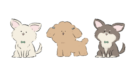 Chihuahua and Poodle