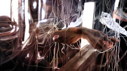 Interconnecthead, RCF Exhibition, Wh