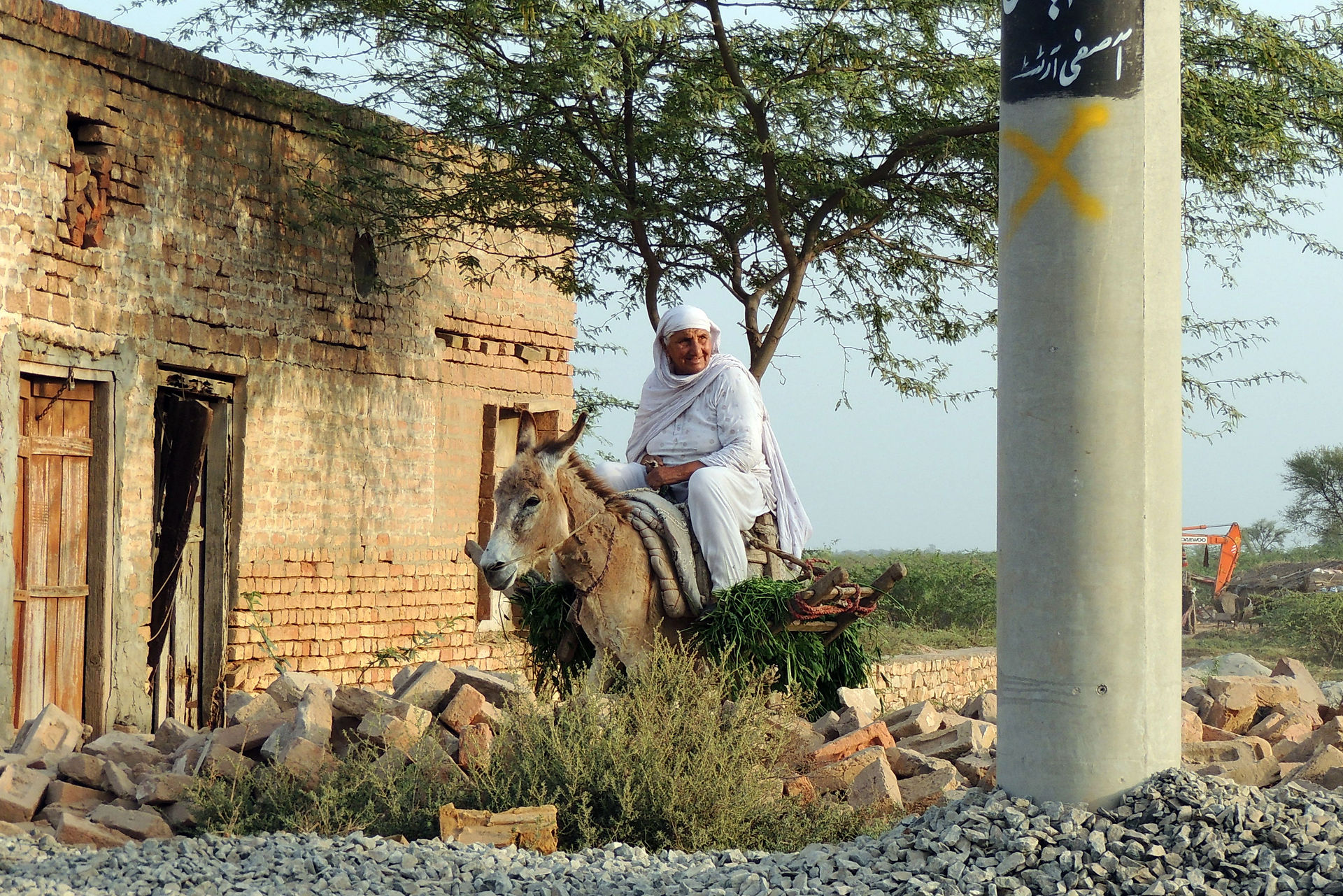 A lady doing farm work