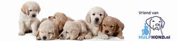 Stichting Hulphond - Nederland
