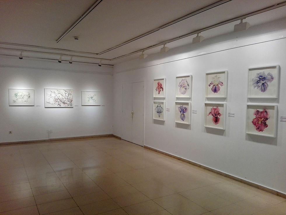 Expo Flos II
