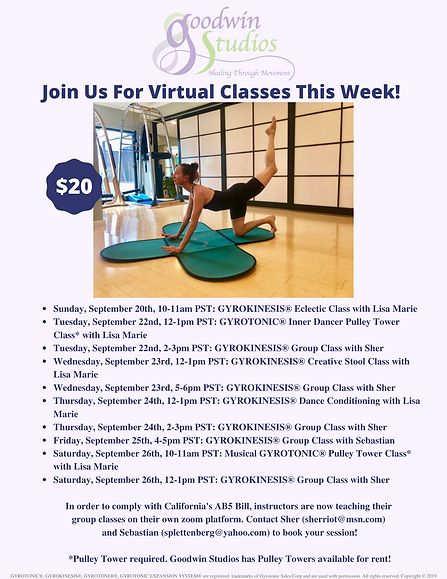 Website Instructor Flyer_9_14_2020 (1).p