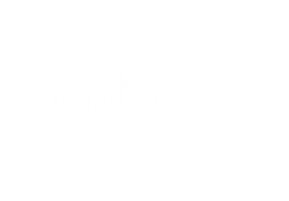 Kingbird-logo-blanco-01-01V2.png