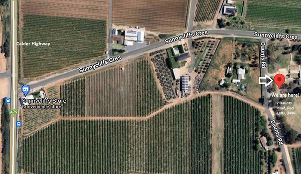 School Map.jpg