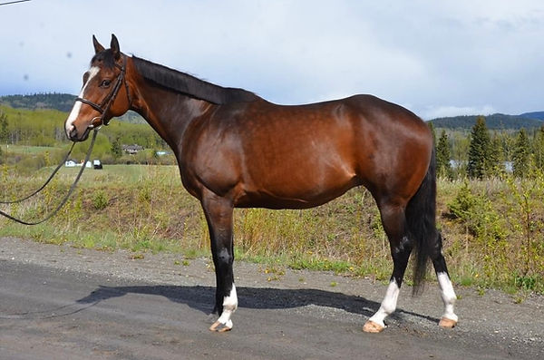 photo 2024-06-25, 12 50 04 pm (1).jpg