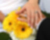 Used Wedding