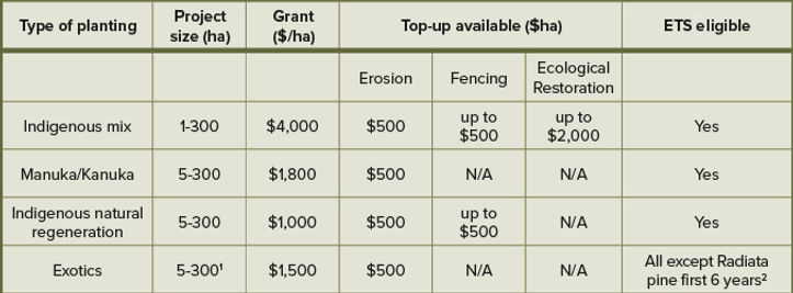 Grant table | 1BT
