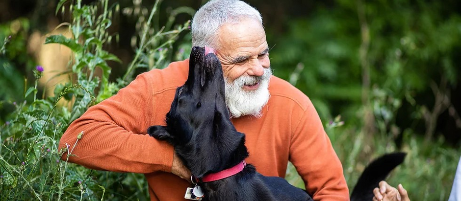 Permitted Dog Parks for Seniors