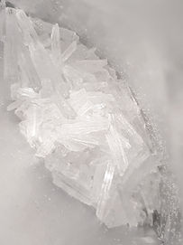 20220904_161119.jpg