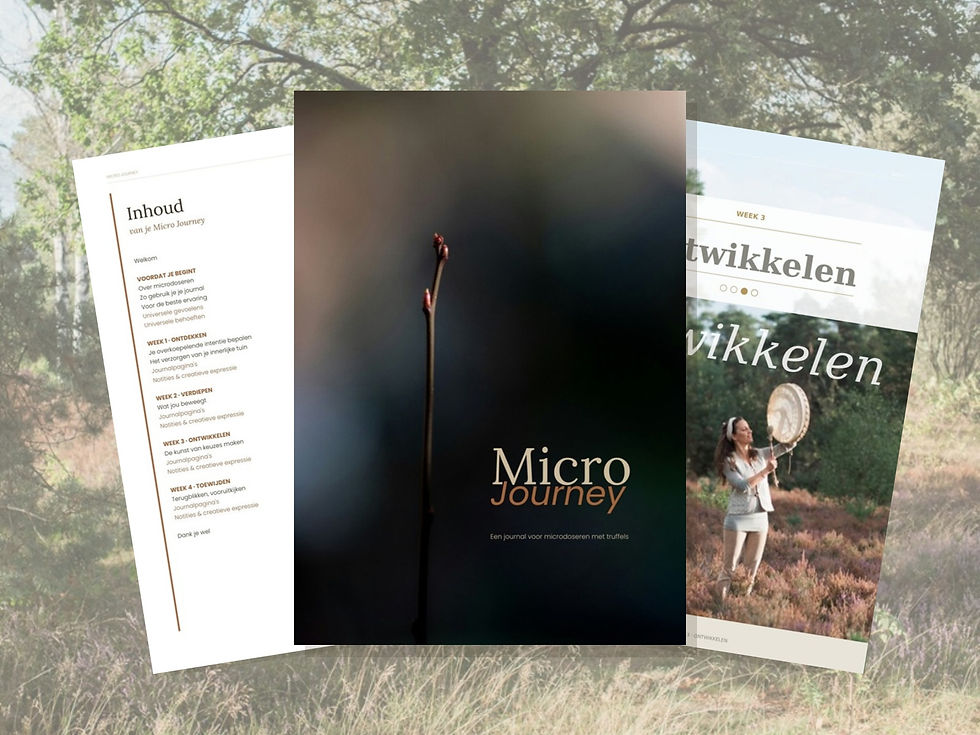 Thumbnail: Micro Journey Journal (Nederlands, PDF)