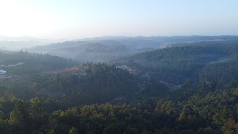 High-angle view of Colchagua Valley