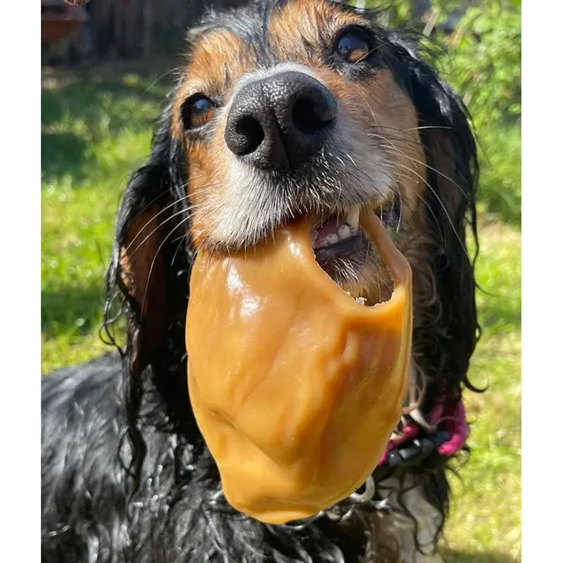 No Pig Ears Vegetable Chew