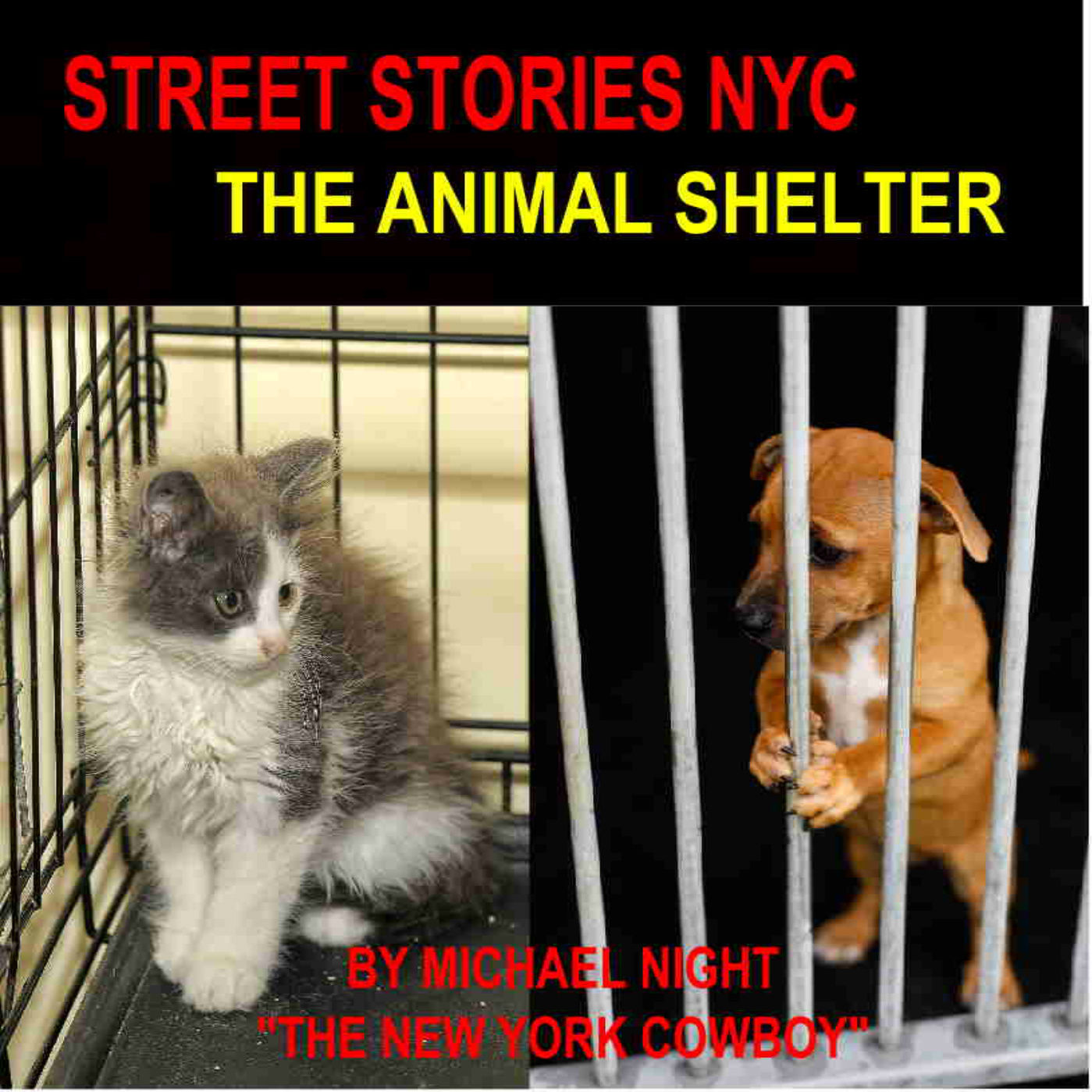 Street Stories NYC The Animal Shelter