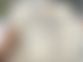 SEO Services Kolkata