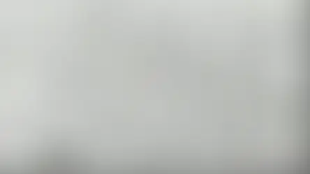 Why should you take care of things? by Magicthreadworks