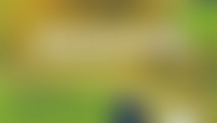 Pronampe: Veja como solicitar crédito para micro e pequenas empresas